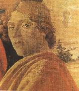Sandro Botticelli Young man in a Yellow mantle (mk36) oil painting